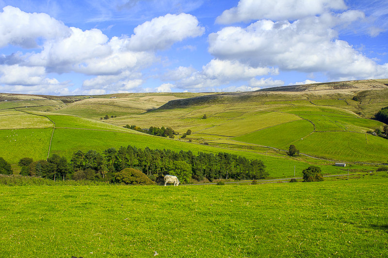Cuckoo Rocks Cuckoo Rocks
